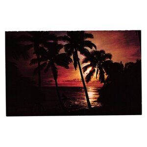 Vintage Postcard Hawaiian Evening Sunset Palm Trees Honolulu Vacation Tropical
